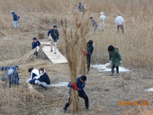 悵